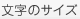 文字サイズ